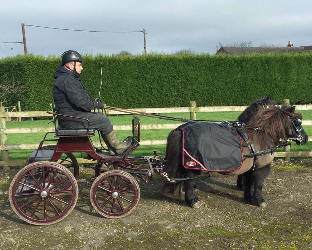 Zilco Carriage Driving Quarter Sheet Bennington Carriages